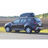 Молдинги на двери Renault Duster