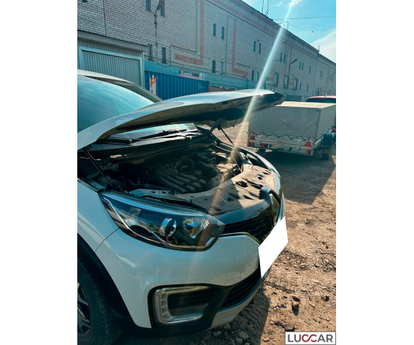 Газовый упор капота Renault Kaptur (Рено Каптюр 2016-н.в.)