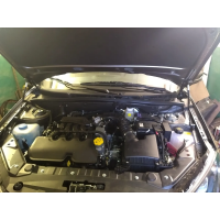 Газовый упор капота для Лада Гранта / Калина 2 ( Lada Granta FL/ Kalina 2 / Datsun) - 2 упора