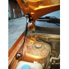 Газовый упор капота Лада Гранта / Калина 2 ( Lada Granta FL/ Kalina 2 / Datsun) - 2 упора