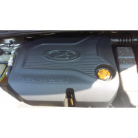 Экран двигателя 21179 (Неокрашенный значок), 1,8 Л. для Lada Vesta, Xray  8450020009