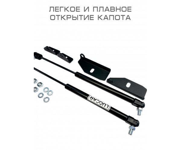Газовый упор капота для Лада Гранта / Калина 2 ( Lada Granta FL/ Kalina 2 / Datsun) - 2 упора