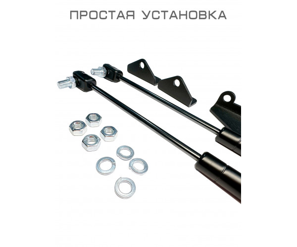 Газовый упор капота для Лада Гранта / Калина 2 ( Lada Granta FL/ Kalina 2 / Datsun) - 2 упора