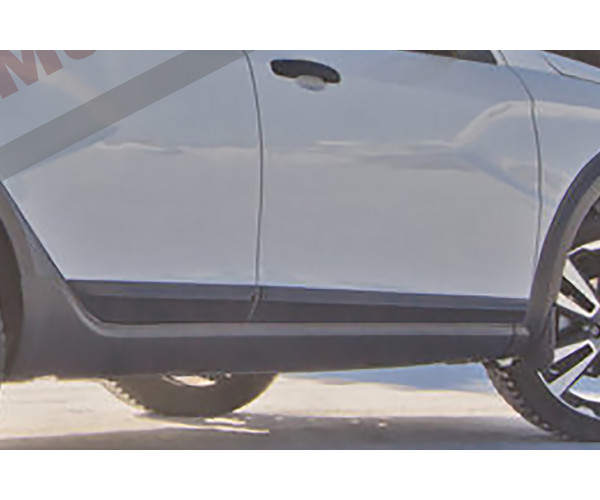 Молдинги на двери для Lada Vesta