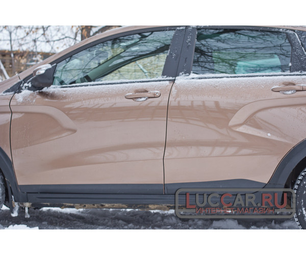 Молдинги на двери для Lada Xray