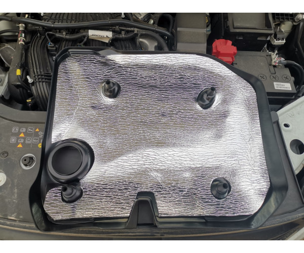 Экран двигателя 21179 (Неокрашенный значок), 1,8 Л. для Lada Vesta, Xray  8450020009