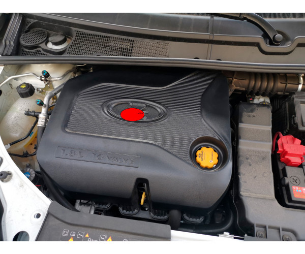 Экран двигателя 21179 (Неокрашенный значок), 1,8 Л. для Lada Vesta, Xray  8450020009