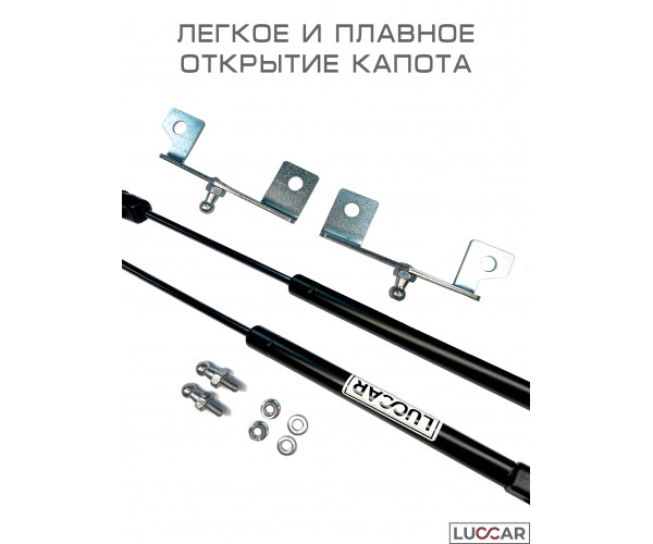 Газовые упоры капота для Лада Искра (Lada Iskra) - 2 упора