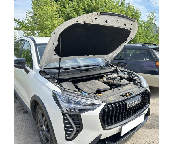Газовый упор капота для HAVAL Jolion 2021-н.в. (Хавал Джолион)