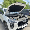 Газовый упор капота для HAVAL Jolion 2021-н.в. (Хавал Джолион)