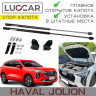 Газовый упор капота для HAVAL Jolion 2021-н.в. (Хавал Джолион)