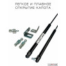 Газовый упор капота для Haval M6 (Хавал М6) 2021-н.в.