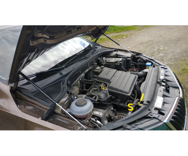 Газовые упоры капота Skoda Octavia A7 (Шкода Октавия А7) 2013–2020, амортизаторы капота, комплект 2 шт